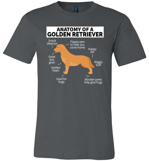 Golden Retriever Anatomy Canvas