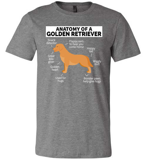 Golden Retriever Anatomy Canvas