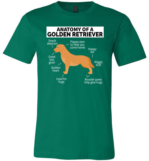 Golden Retriever Anatomy Canvas