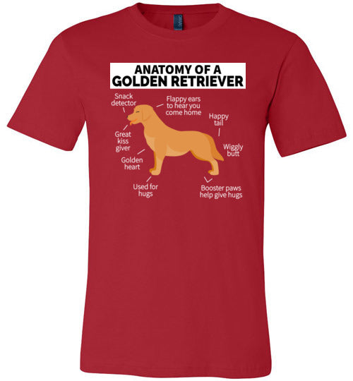 Golden Retriever Anatomy Canvas