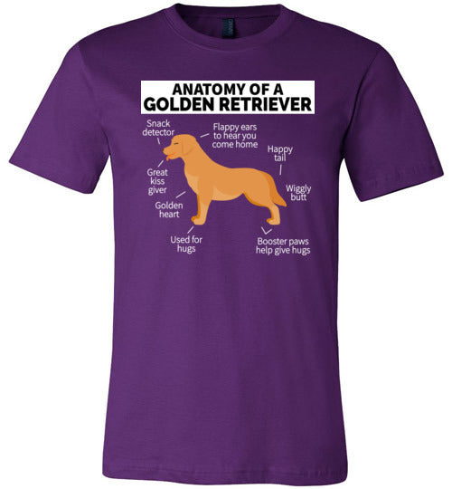 Golden Retriever Anatomy Canvas