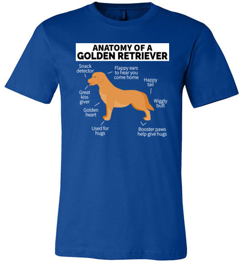 Golden Retriever Anatomy Canvas