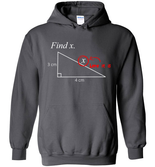 Math Find X Hoodie