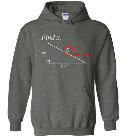 Math Find X Hoodie