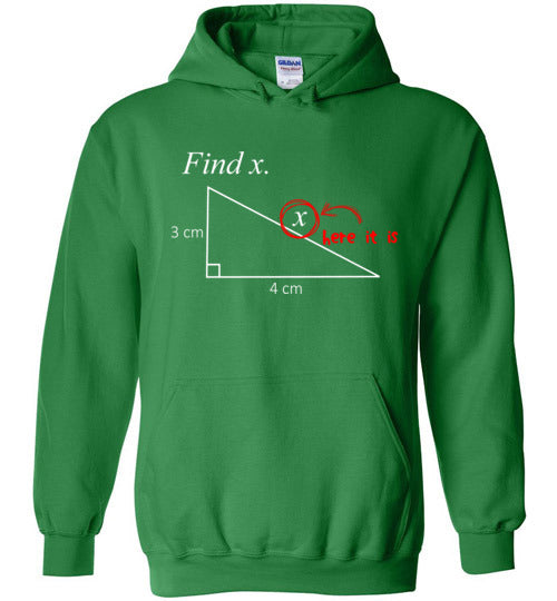 Math Find X Hoodie