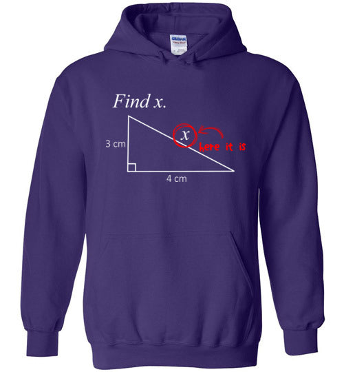 Math Find X Hoodie