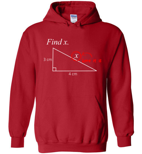Math Find X Hoodie