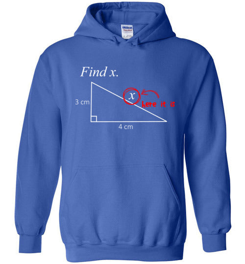 Math Find X Hoodie
