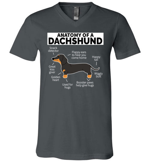 Dog Anatomy Dachshund V-Neck