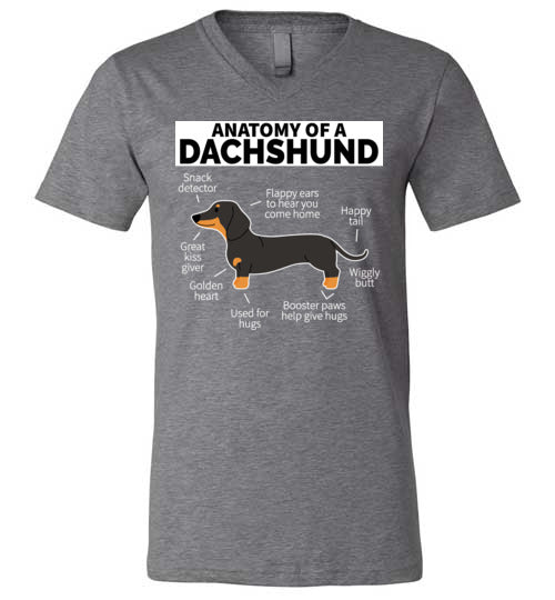 Dog Anatomy Dachshund V-Neck