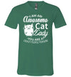 Awesome Cat Lady V-Neck