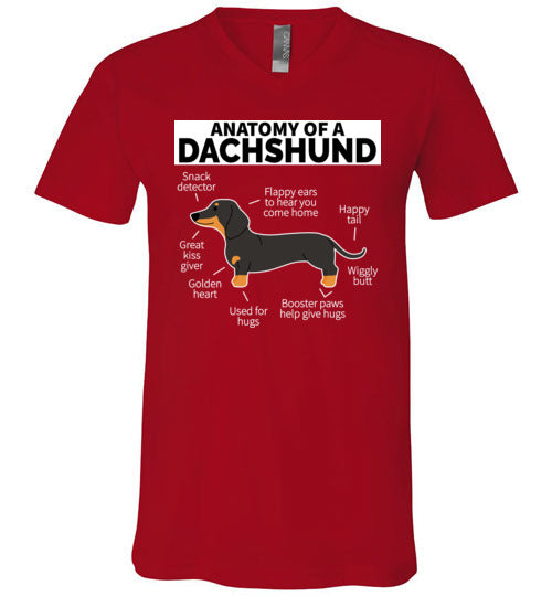 Dog Anatomy Dachshund V-Neck