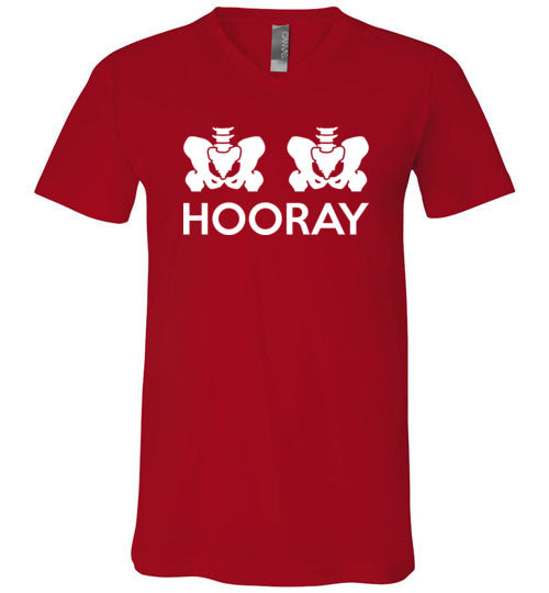 Hip Hip Hooray V-Neck