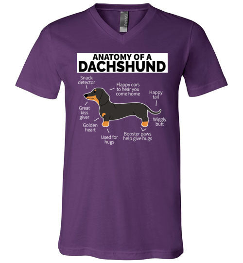 Dog Anatomy Dachshund V-Neck