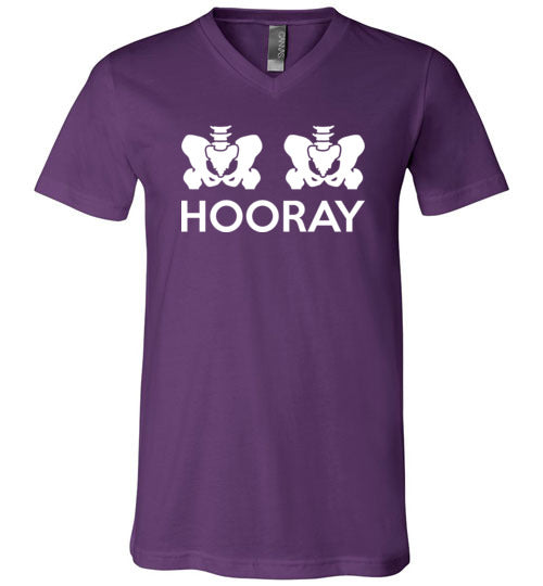 Hip Hip Hooray V-Neck