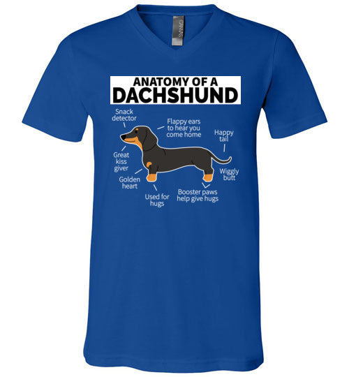 Dog Anatomy Dachshund V-Neck