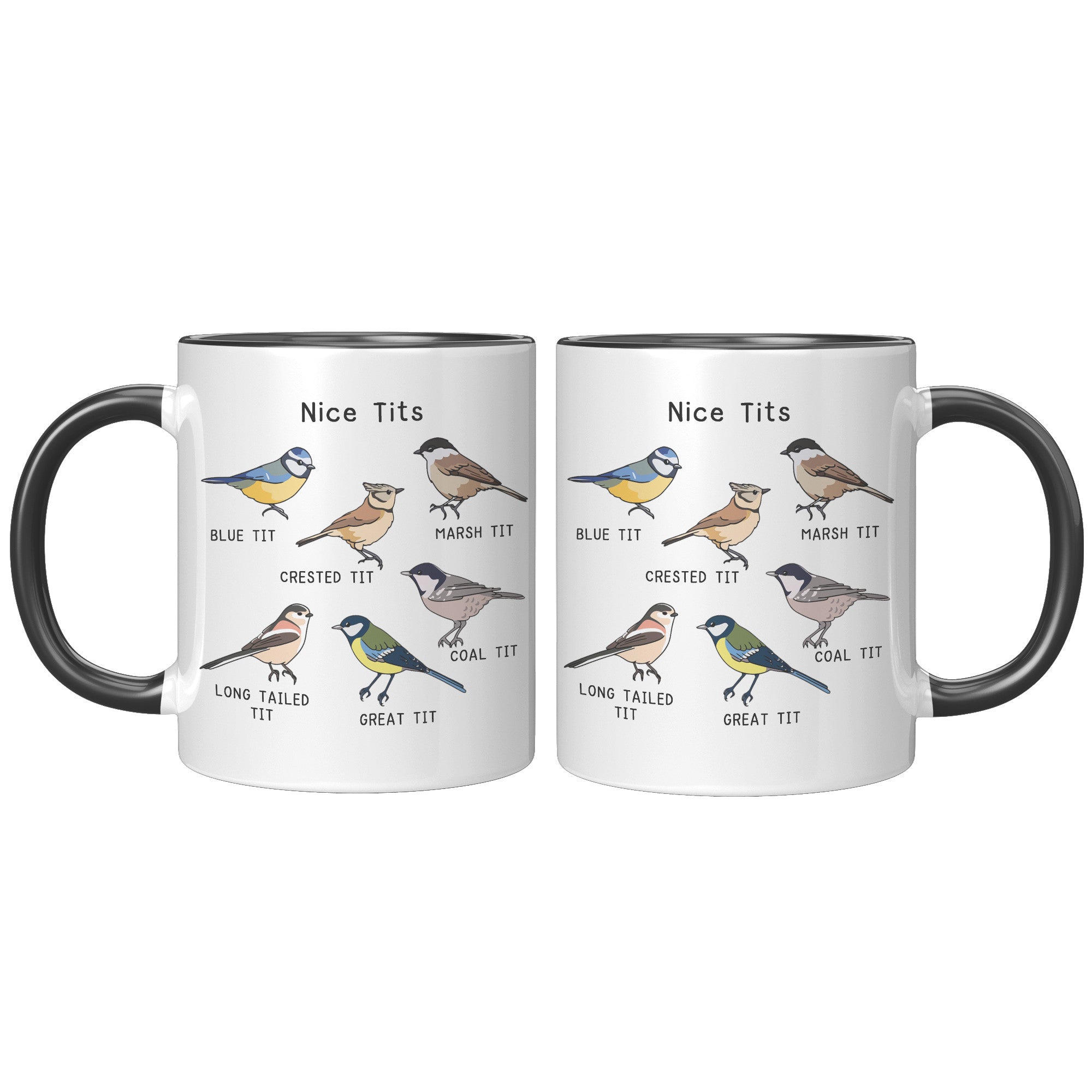 11oz Accent Mug - Nice Tits Birds