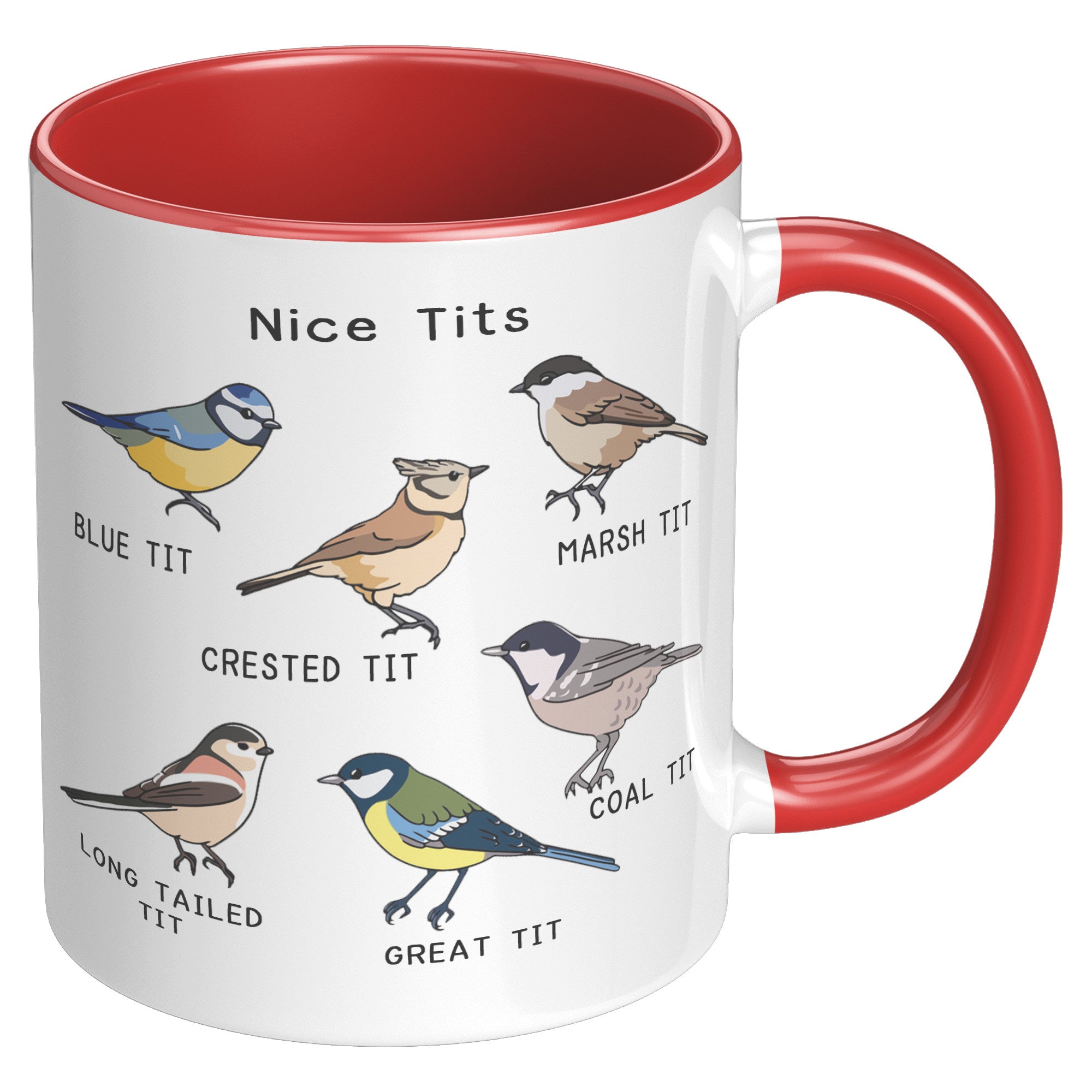 11oz Accent Mug - Nice Tits Birds