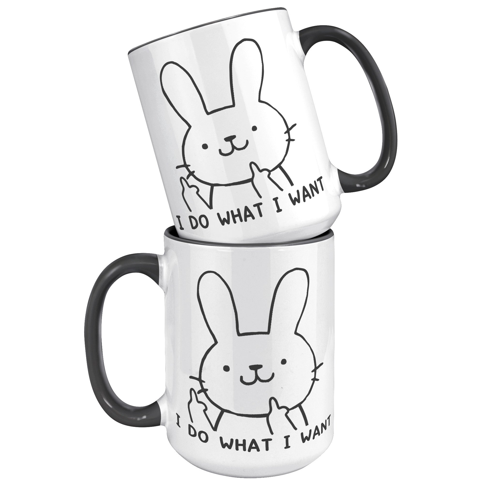 15oz Accent Mug - Bunny Do What I Want