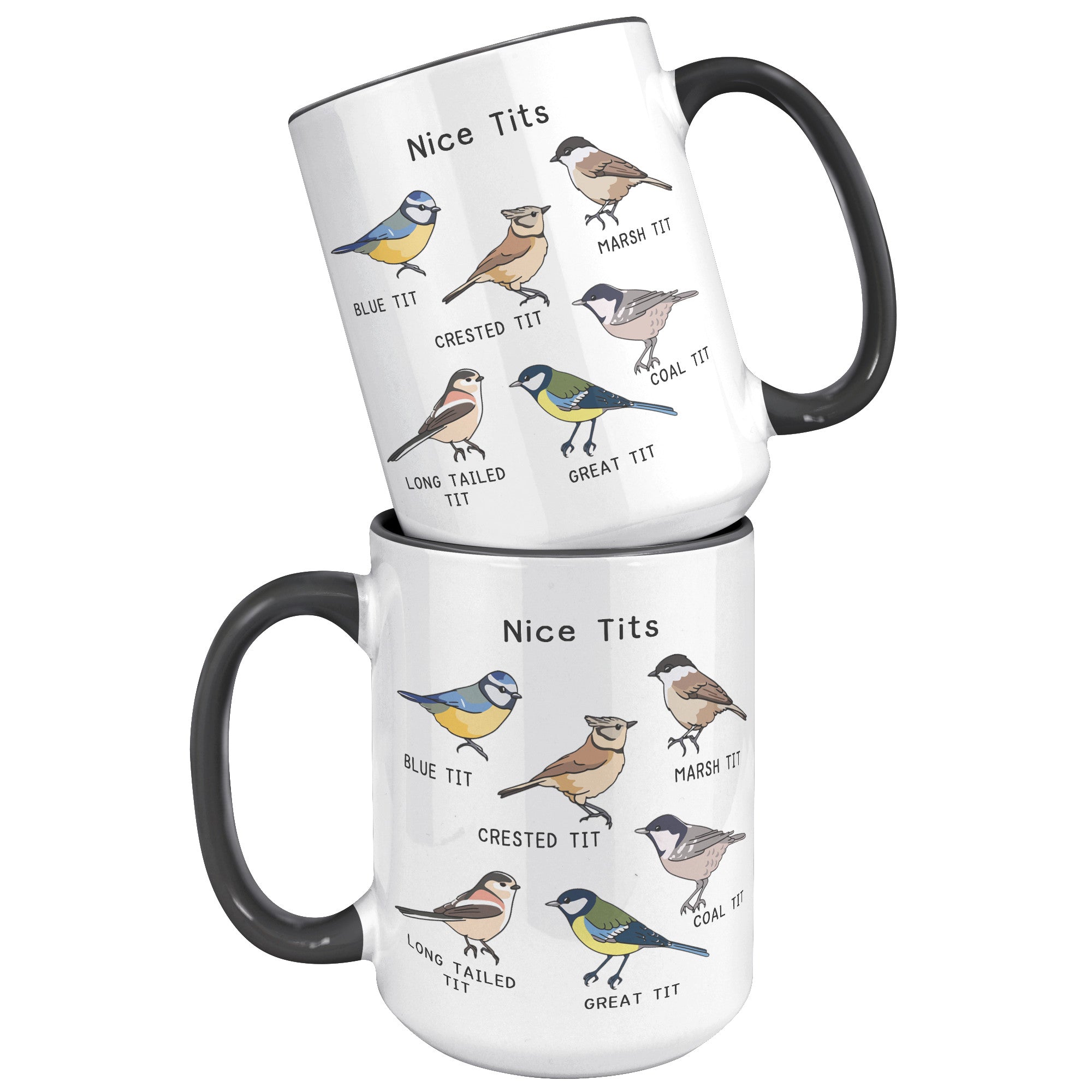 15oz Accent Mug - Nice Tits Birds