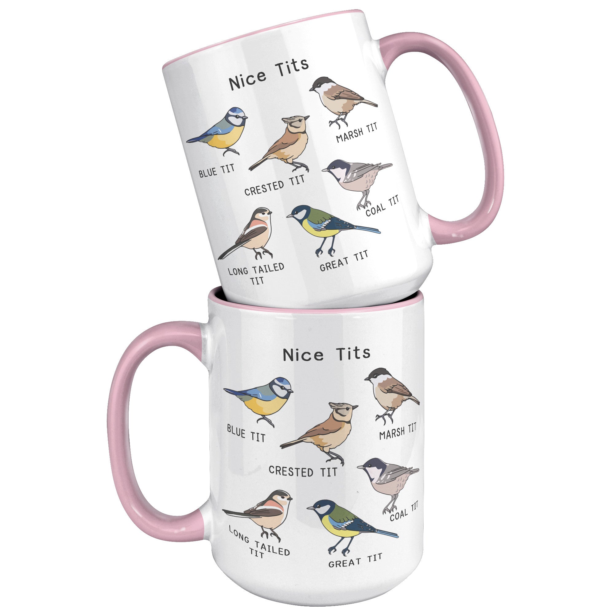 15oz Accent Mug - Nice Tits Birds