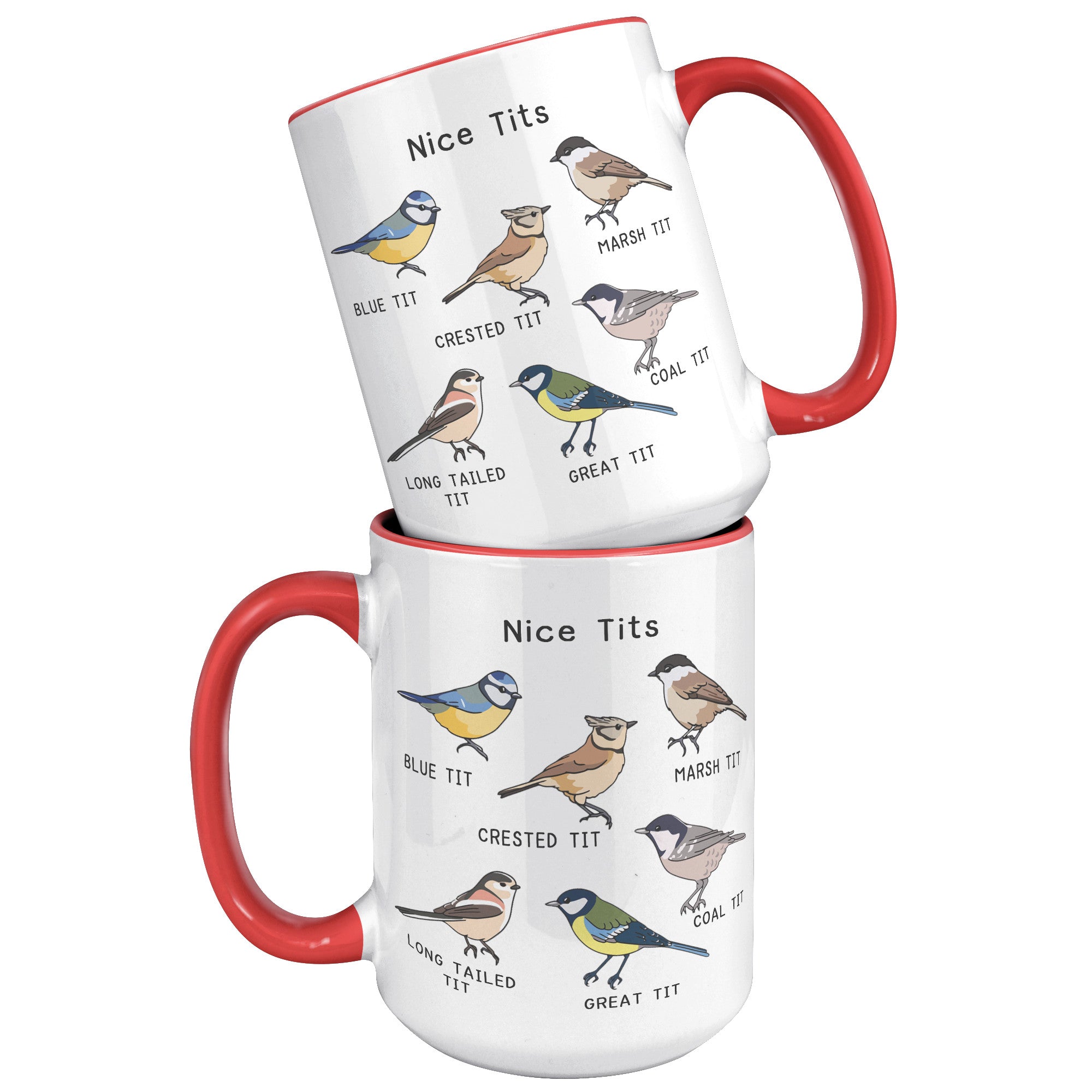 15oz Accent Mug - Nice Tits Birds