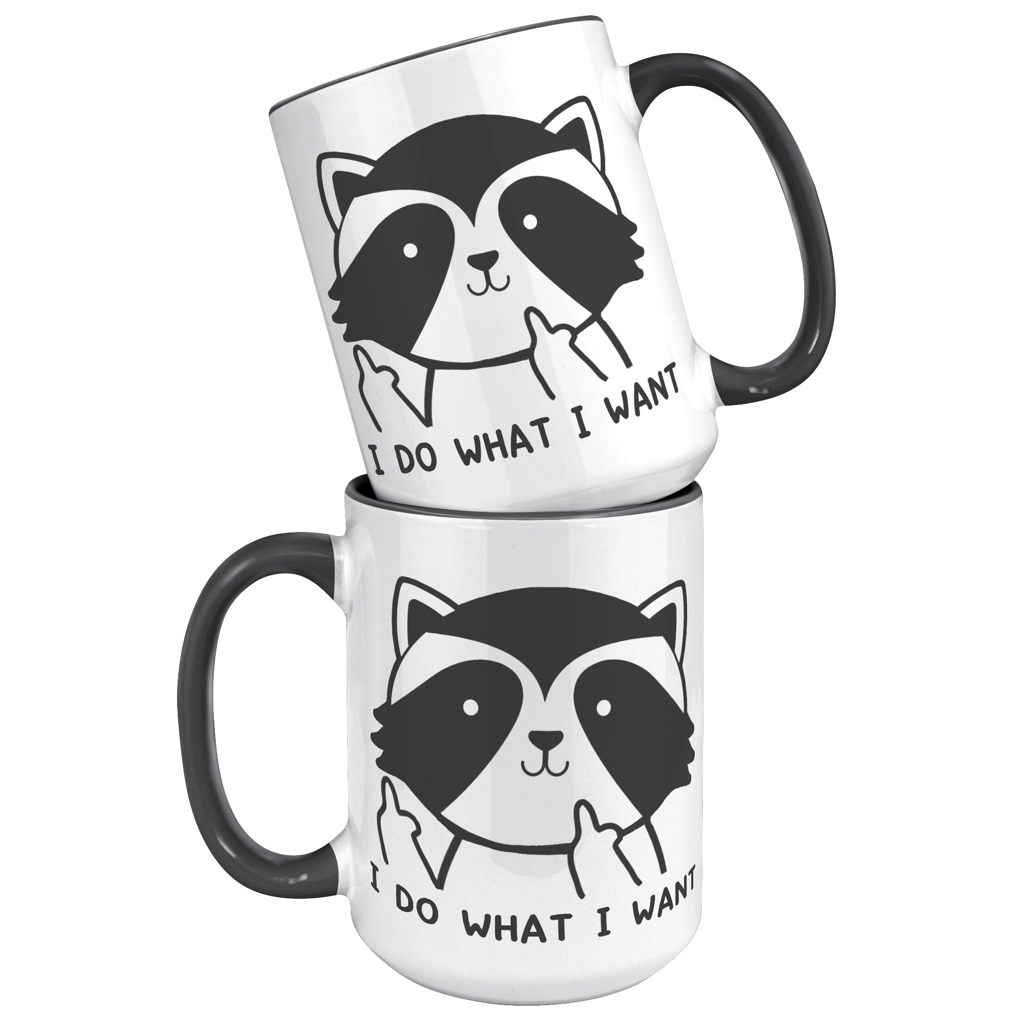 15oz Accent Mug - Raccoon Do What I Want