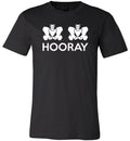 Hip Hip Hooray Canvas