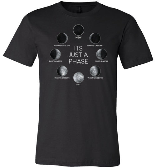 Moon Its Just A Phase Canvas