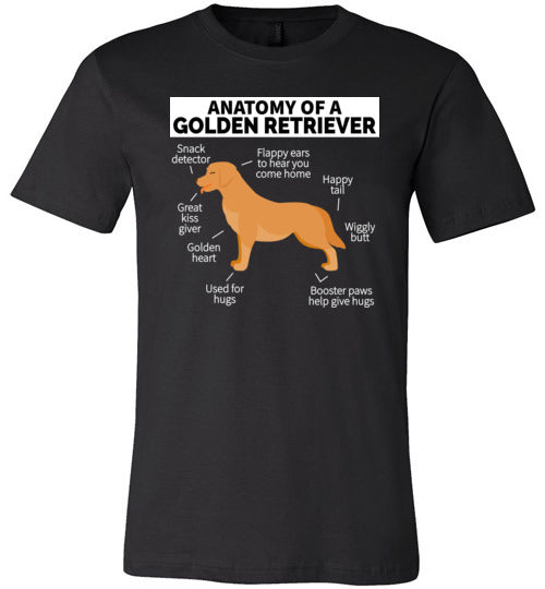 Golden Retriever Anatomy Canvas