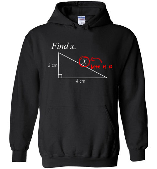 Math Find X Hoodie