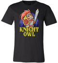 Knight Owl Canvas