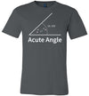 A Cute Angle Canvas