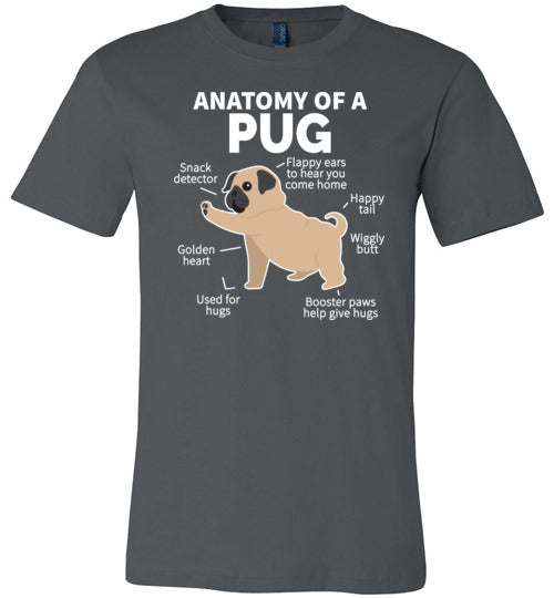 Pug Anatomy Canvas
