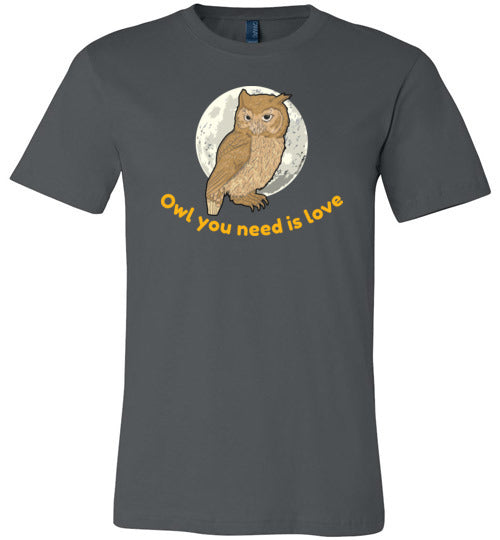 Owl You Need Is Love Canvas