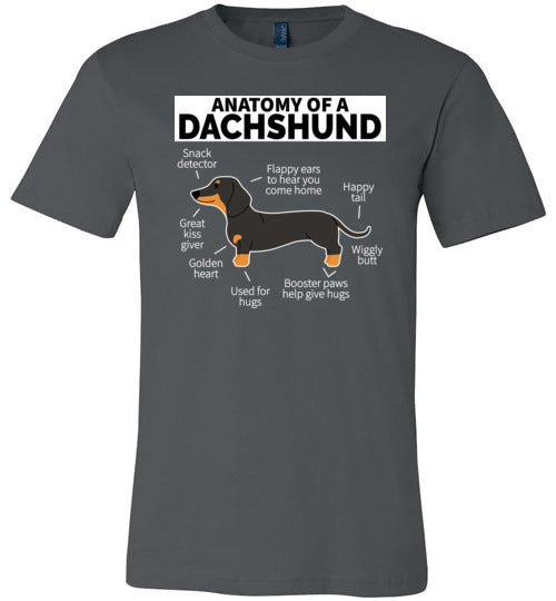 Dog Anatomy Dachshund Canvas