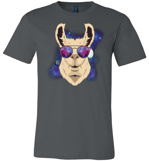 Llama Space Sunglasses Canvas