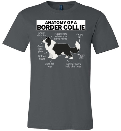 Anatomy of a Border Collie Canvas