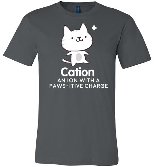 Cation Pawsitive Charge Canvas