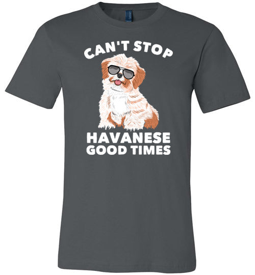 Cant Stop Havanese Canvas