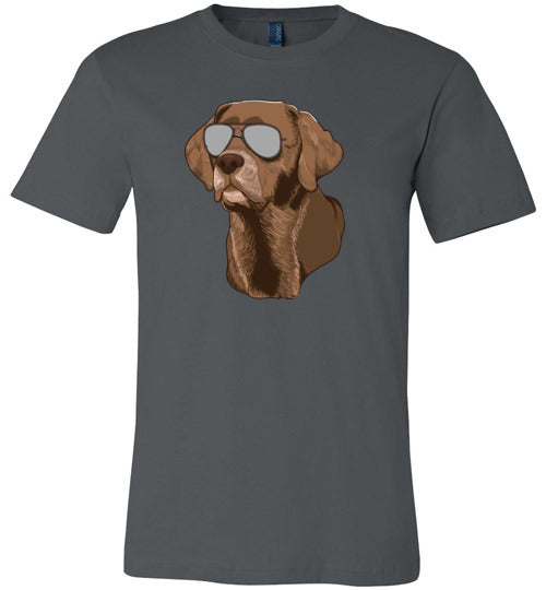 Chocolate Lab Sunglasses Canvas