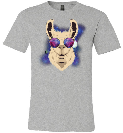 Llama Space Sunglasses Canvas