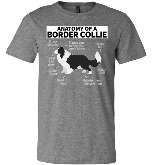 Anatomy of a Border Collie Canvas
