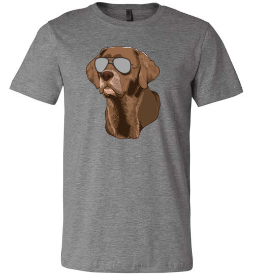 Chocolate Lab Sunglasses Canvas