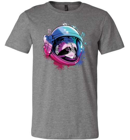 Space Raccoon Canvas