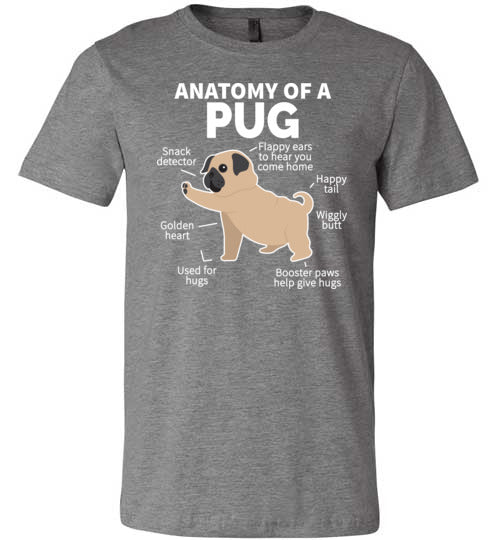 Pug Anatomy Canvas