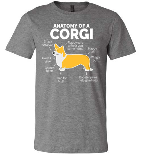 Corgi Anatomy Canvas