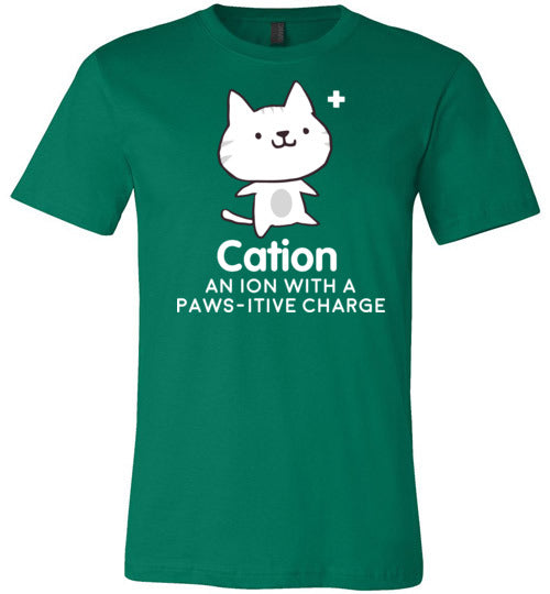 Cation Pawsitive Charge Canvas