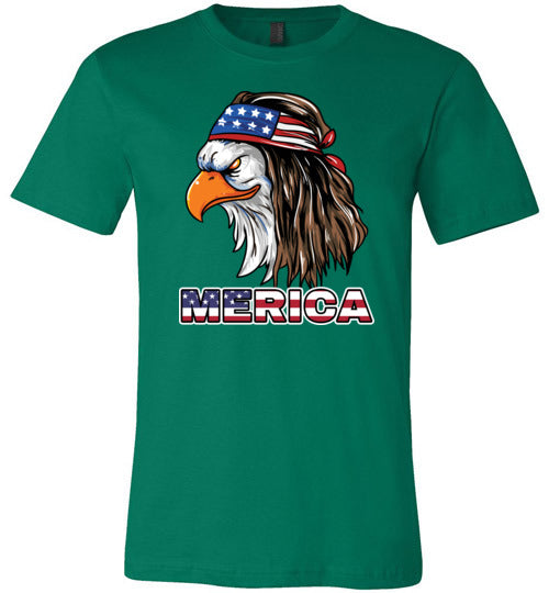 Eagle American Merica Canvas