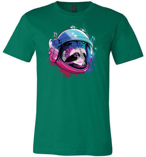 Space Raccoon Canvas